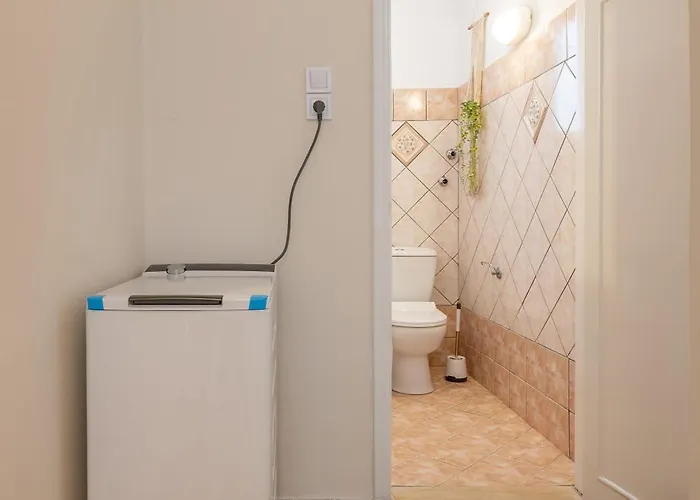 Artemisia * 科斯镇